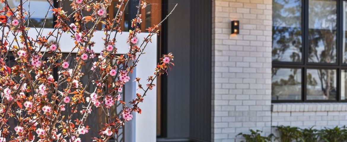 McGee Drive – New Build